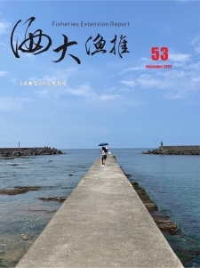 第 53 期